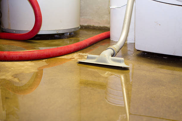 Best Water damage contractors near me  in Purdy, WA