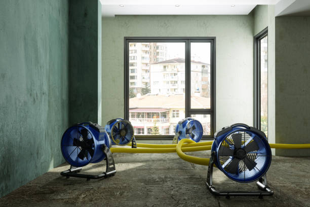 Best Mold removal after water damage  in Purdy, WA